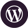 Wordpress Theme Detector